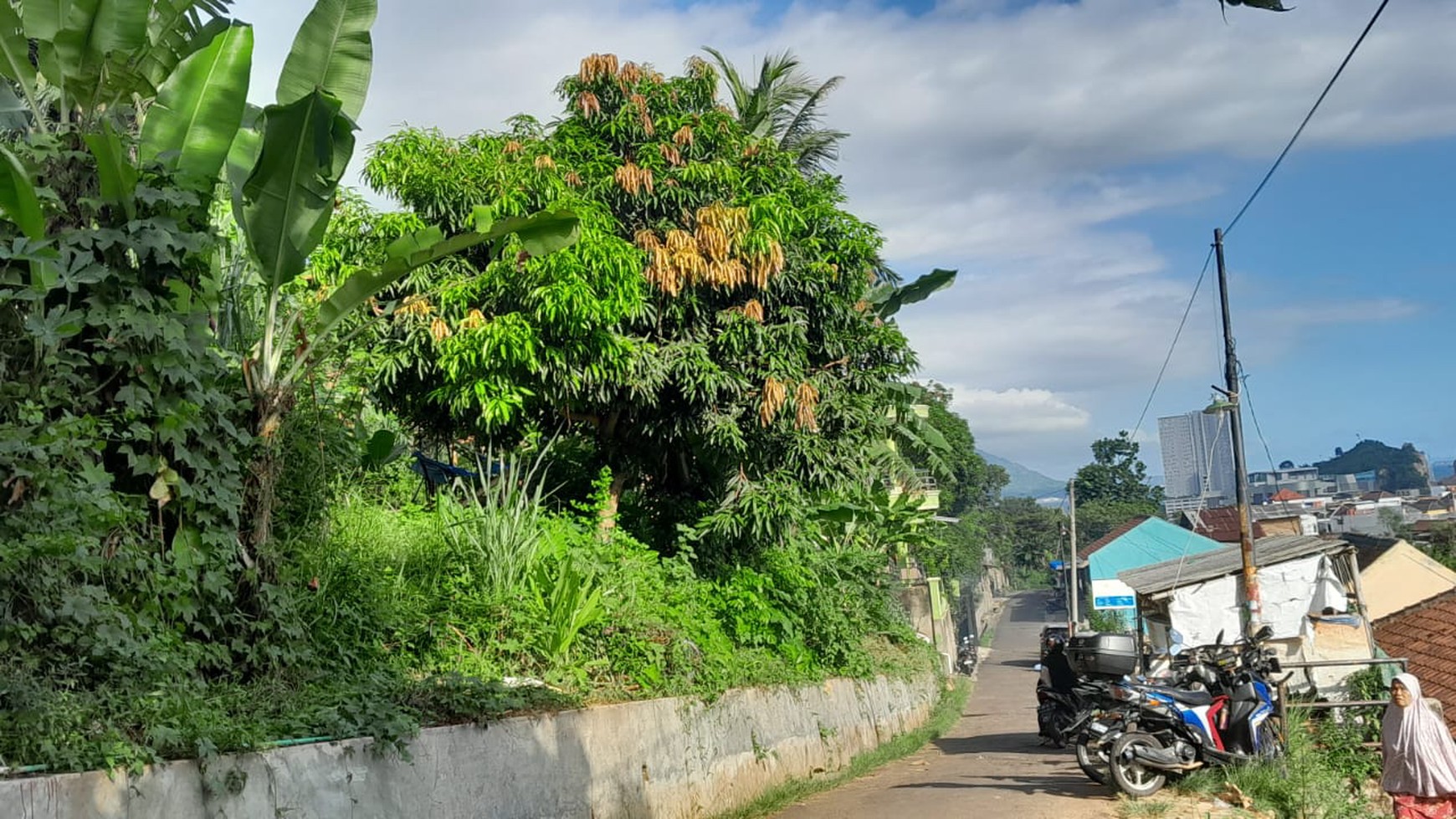 Tanah View Laut Dijual Cepat