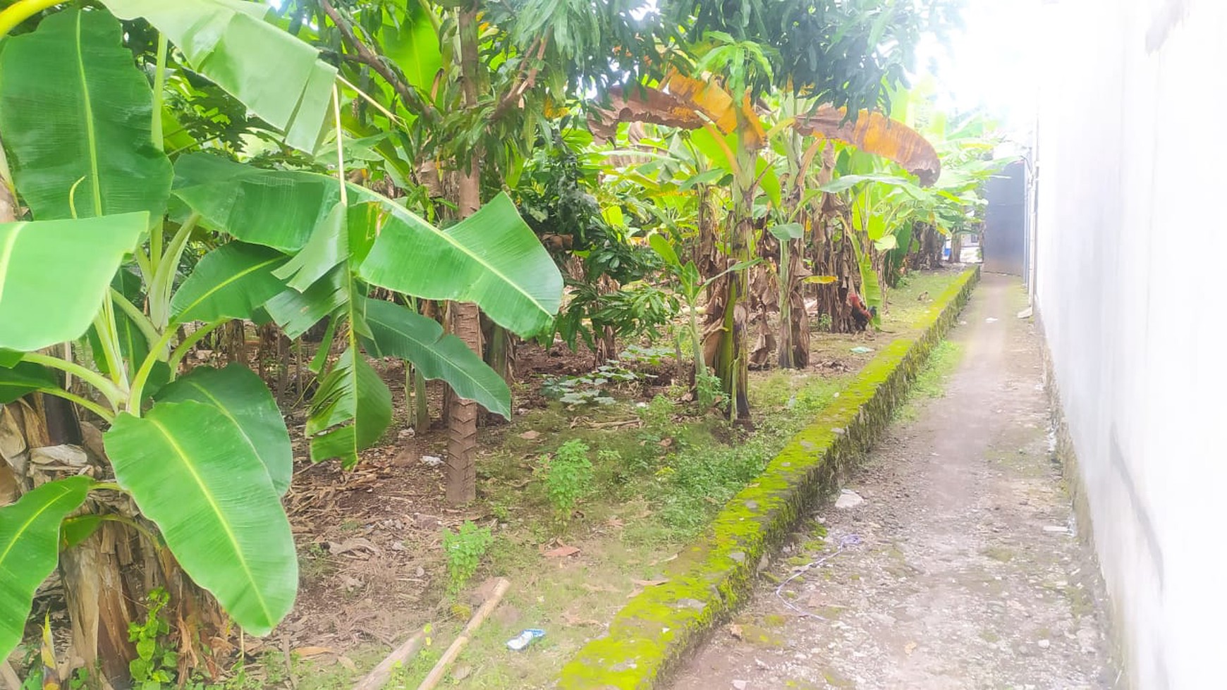 Tanah Pekarangan Luas 847 Meter Persegi Lokasi Belakang Hotel Hyatt Palagan 