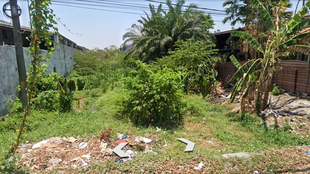 Tanah Disewakan Cocok Untuk Usaha SHM 0 Jl. Raya Menganti 