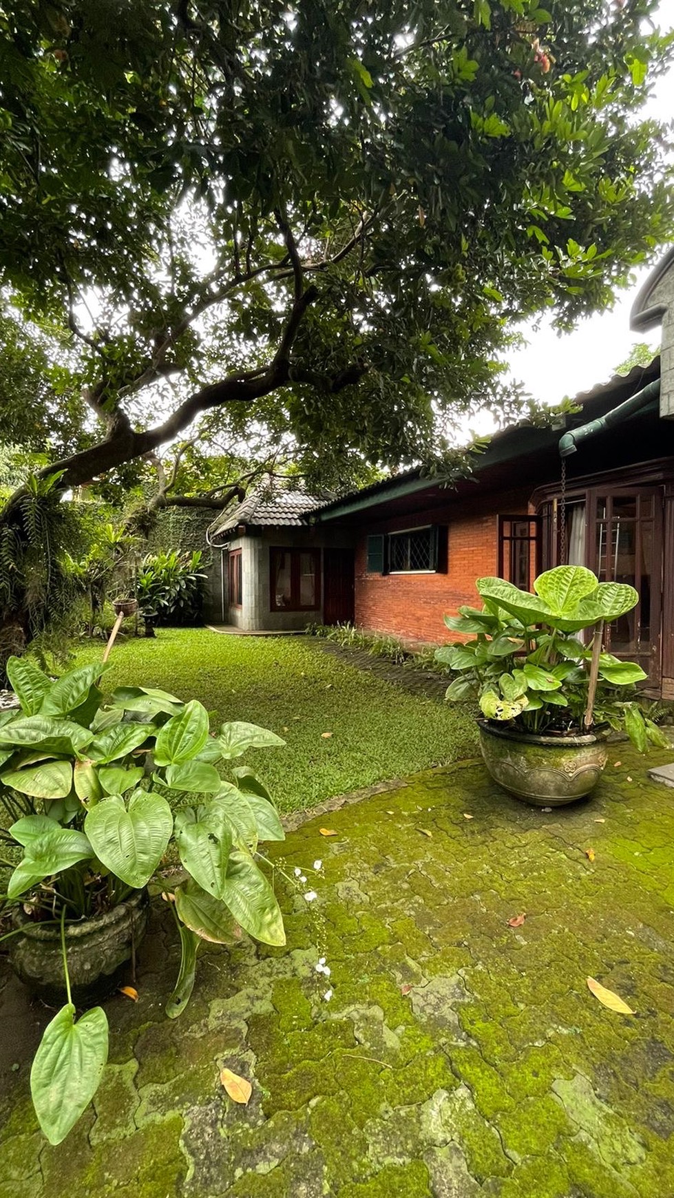 Rumah Dengan Tanah Luas Dekat Cipete Raya Jakarta Selatan