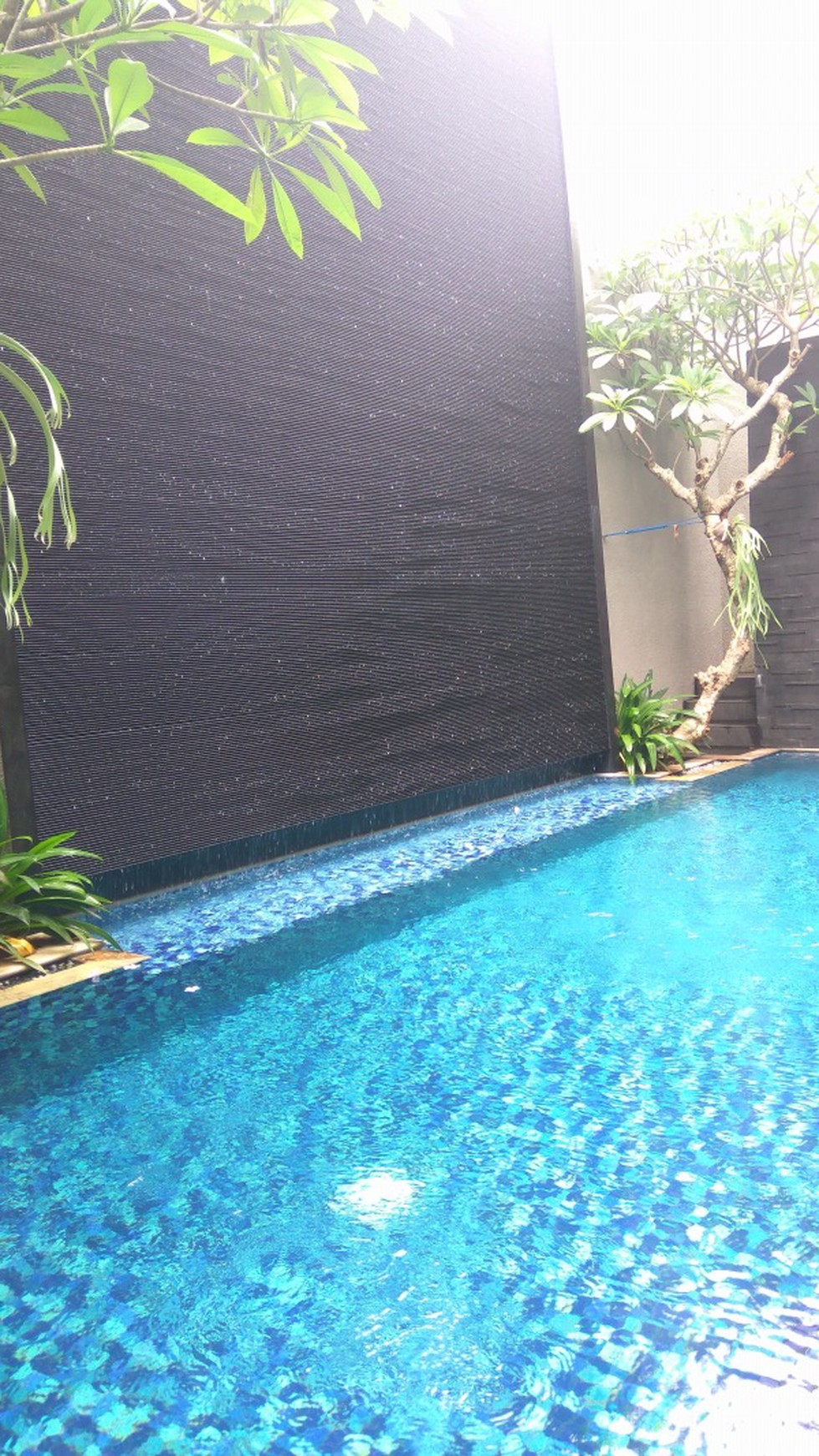 Comfortable and beautiful house In Kebayoran Baru area for expatriat and others "The price can be negotiable"