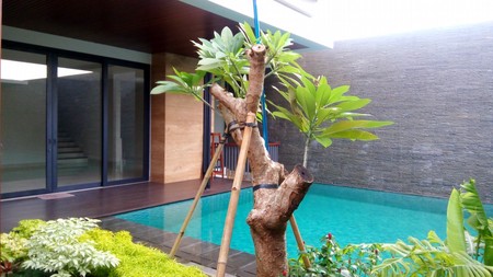 Comfortable and beautiful house In area Menteng for expatriat and others "The price can be negotiable"