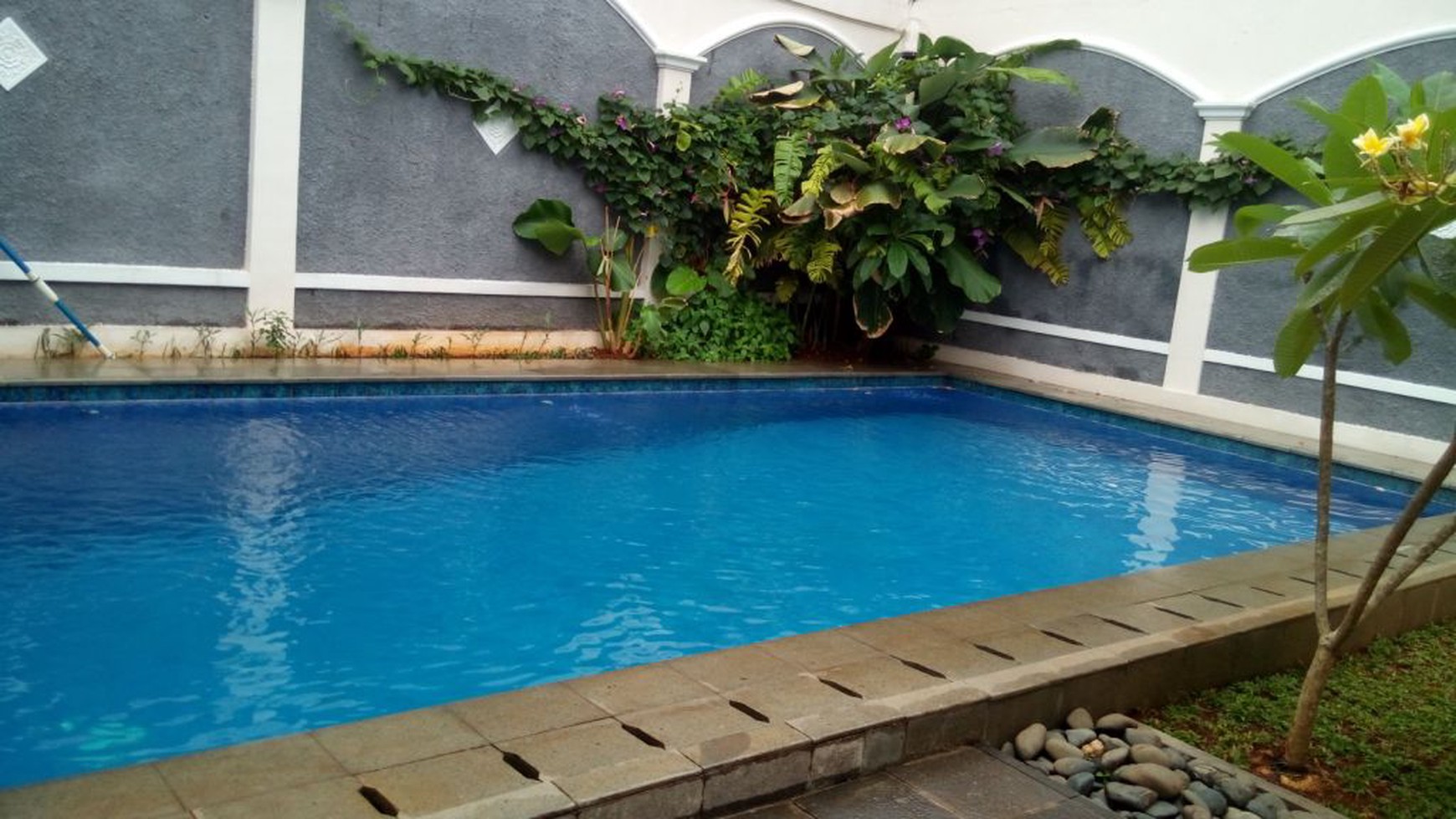 Good House in Strategic Location of Kemang Jakarta "the price can be negotiable"