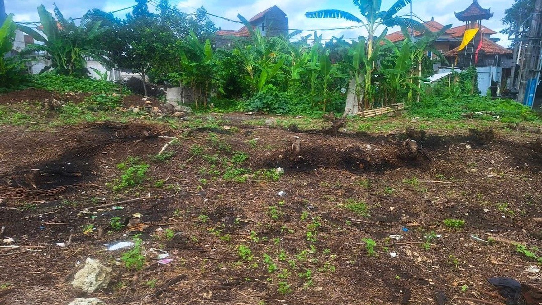 For Sale Leasehold -   Land in area Canggu with good environment 