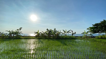 BEACH FRONT LAND LOCATED IN SINGARAJA CITY SIDE