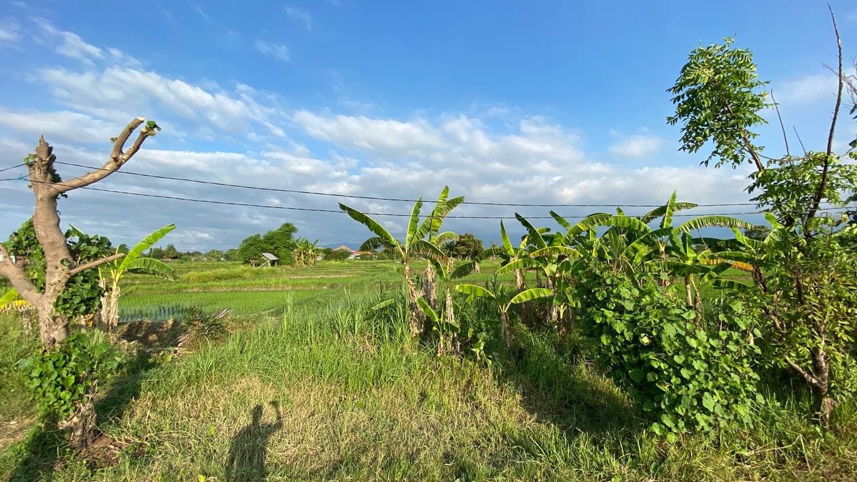 BEACH FRONT LAND LOCATED IN SINGARAJA CITY SIDE