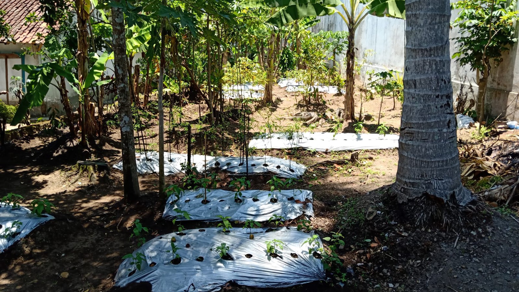 Villa siap huni di temanggung Jawa tengah