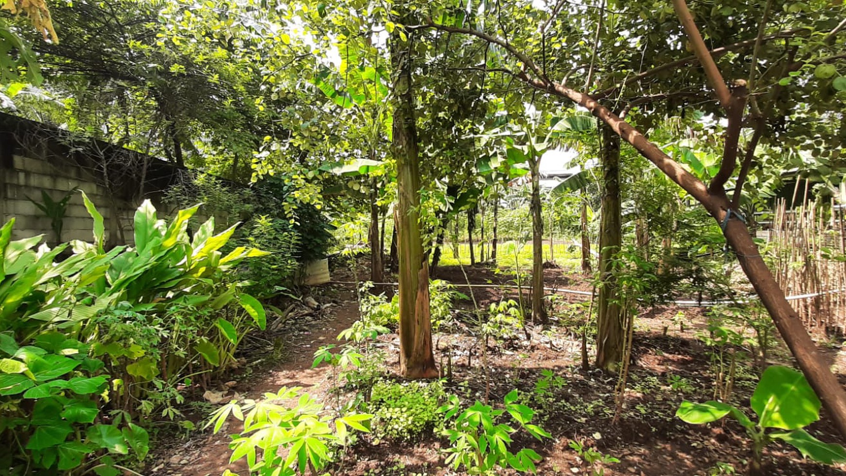 Tanah Ngantong Diarea Bambu Apus Cipayung  Siap Bangun  & Sudah Terpagar 