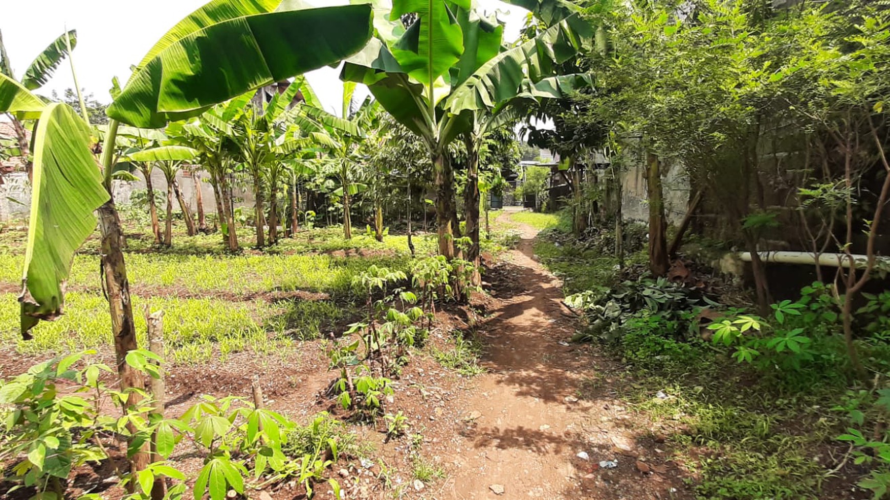 Tanah Ngantong Diarea Bambu Apus Cipayung  Siap Bangun  & Sudah Terpagar 
