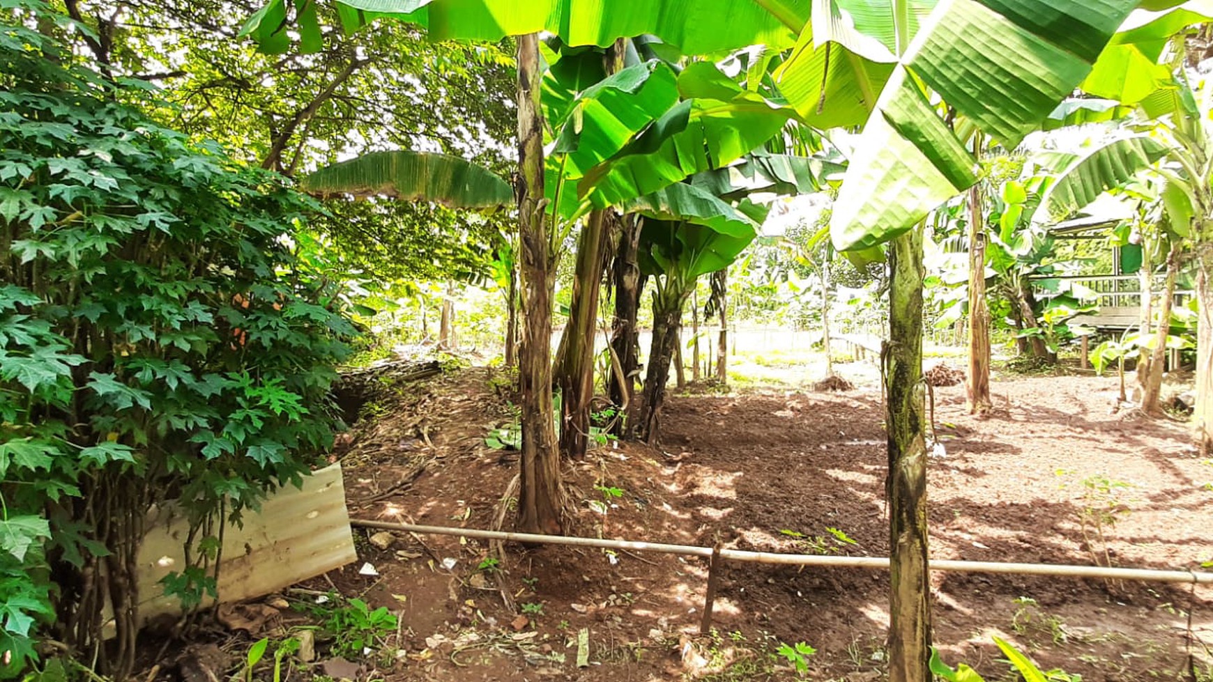 Tanah Ngantong Diarea Bambu Apus Cipayung  Siap Bangun  & Sudah Terpagar 