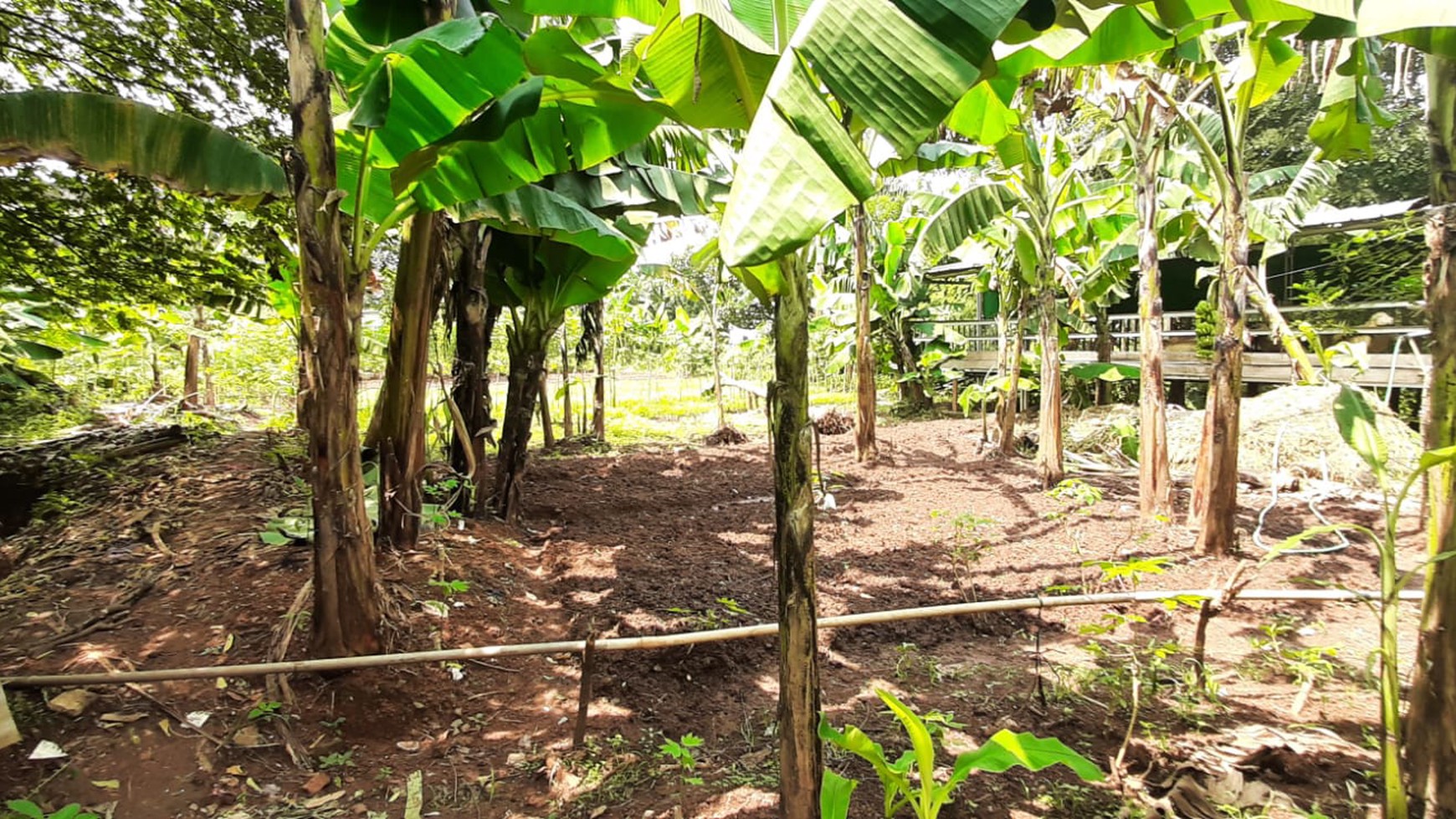 Tanah Ngantong Diarea Bambu Apus Cipayung  Siap Bangun  & Sudah Terpagar 