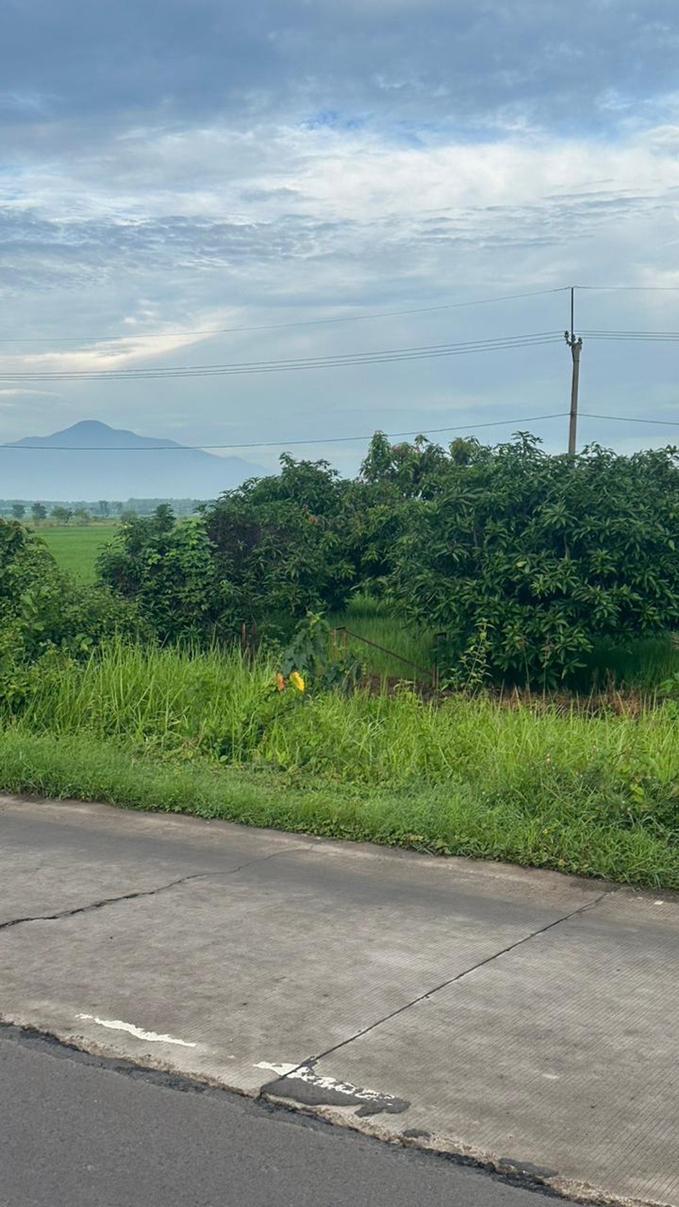 Tanah Siap Bangun Near Airport jl Kertajati