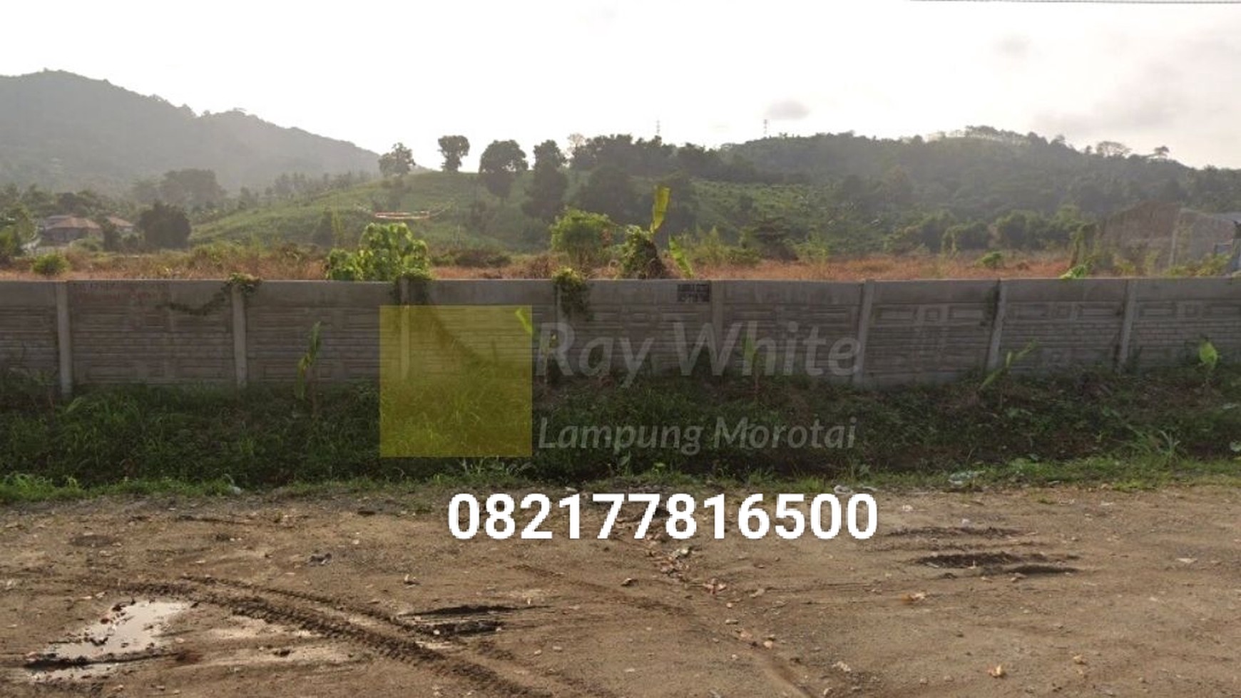 Dijual Cepat Tanah murah lokasi strategis pinggir jalan daerah katibung lampung selatan