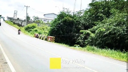 Dijual Tanah di Gedong Tataan, Pesawaran Lampung