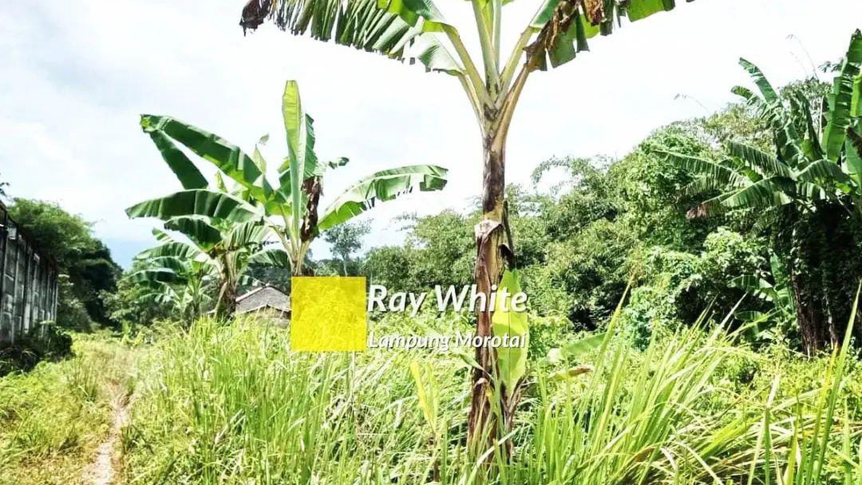 Dijual Tanah di Gedong Tataan, Pesawaran Lampung