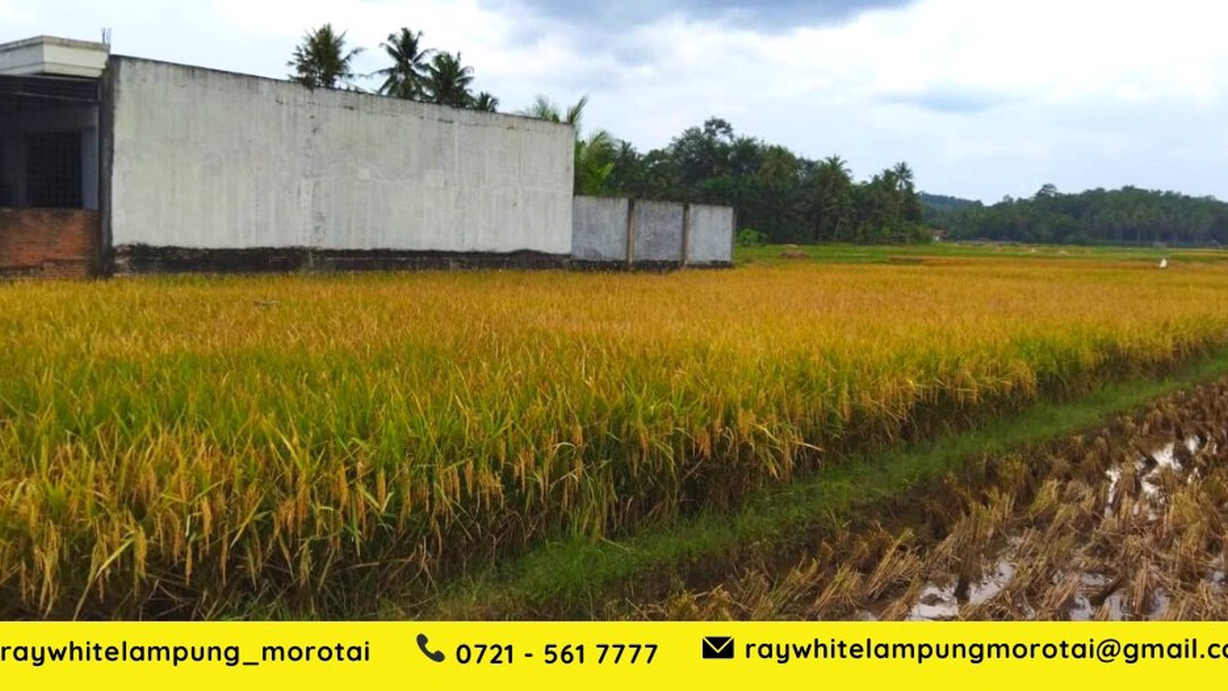 dijual tanah pringsewu lampung