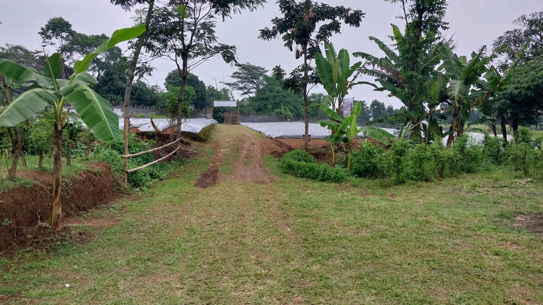 Kavling luas 1,6 Hektar di Purwakarta