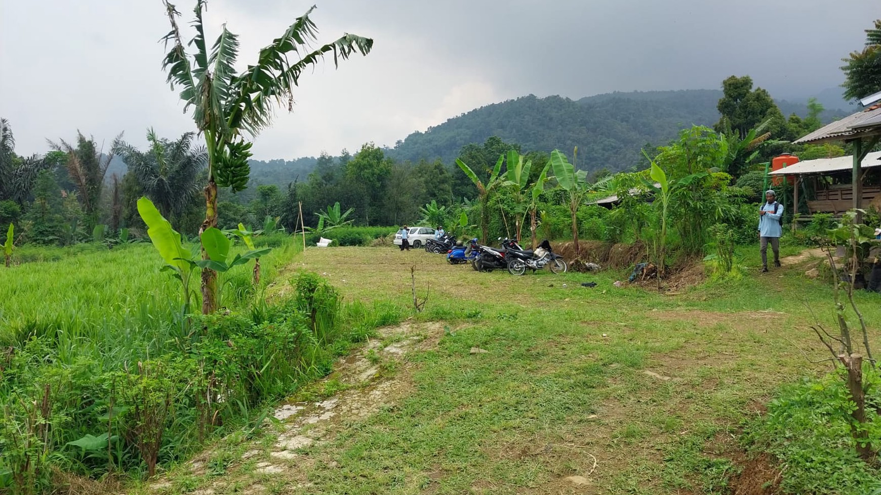 Kavling luas 1,6 Hektar di Purwakarta