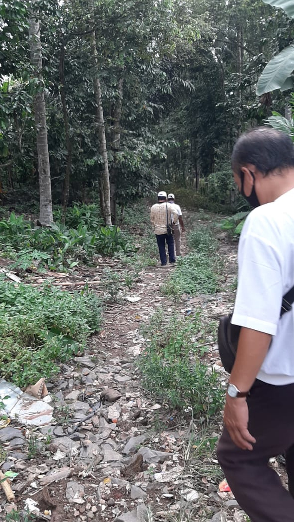 Dijual Cepat Tanah Kebun Jati Sidomulyo