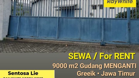 Disewakan 9000 m2 Gudang Menganti Gresik - Jalan Raya Pelemwatu - Nol Jalan RAYA Akses Kontainer 40 Feet - Bangunan Baru 5 Tahun 