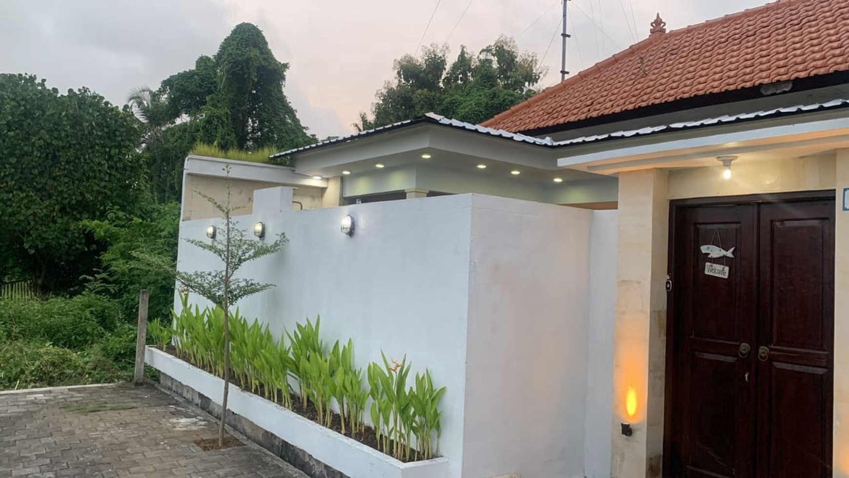 For Rent Yearly - Brand new minimalis modern villa with rice field view in Canggu