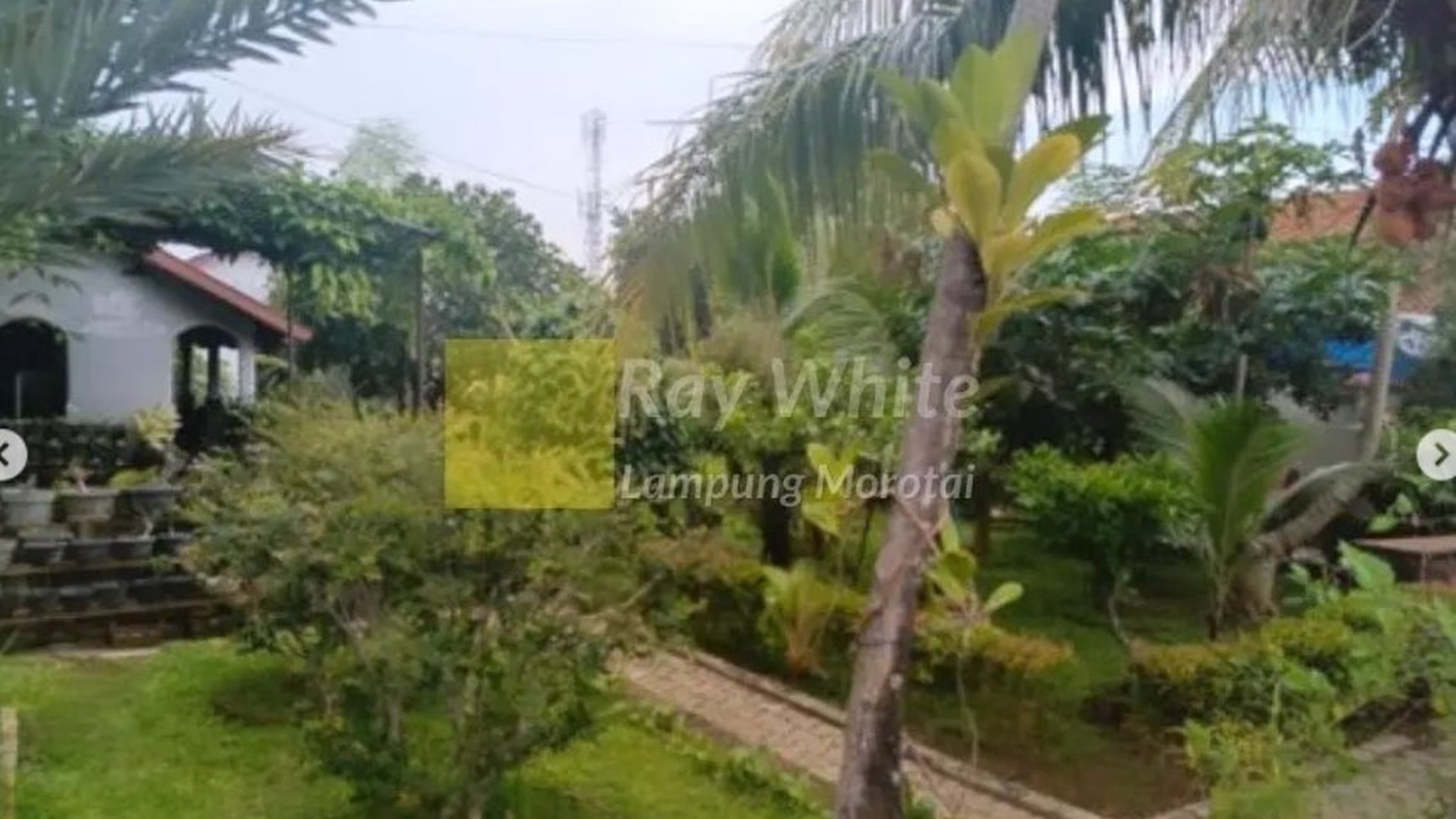 Dijual MURAH Tanah Bangunan Rumah SHM Lokasi Di Jl. Alamsyah Ratu Prawiranegara, Way Halim Kota Bandar Lampung