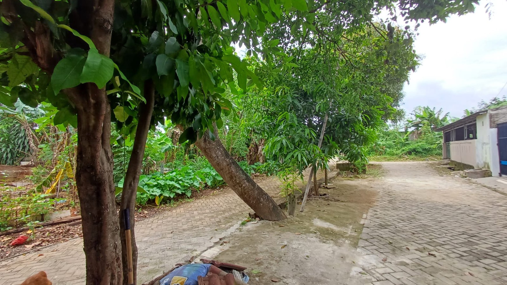 Termurah. Kavling bagus di Bumi Puspitek Asri, Pagedangan