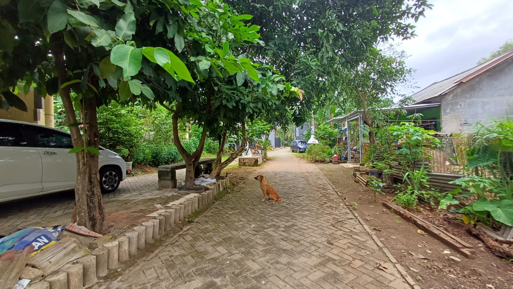 Termurah. Kavling bagus di Bumi Puspitek Asri, Pagedangan