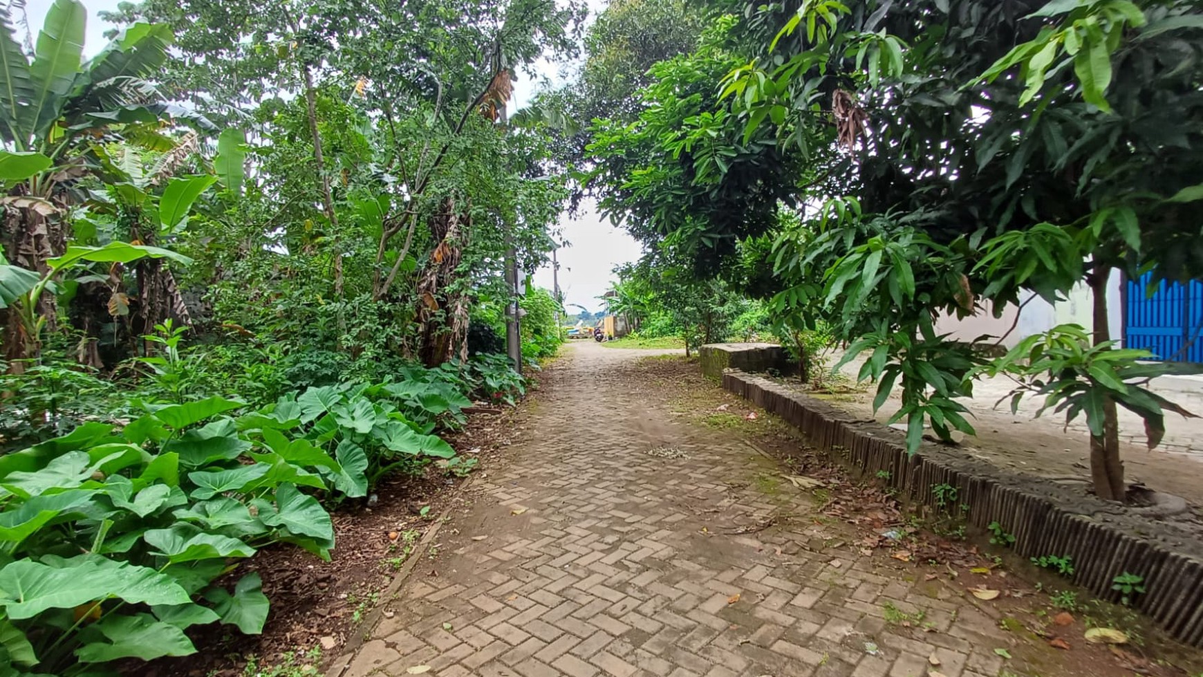 Termurah. Kavling bagus di Bumi Puspitek Asri, Pagedangan