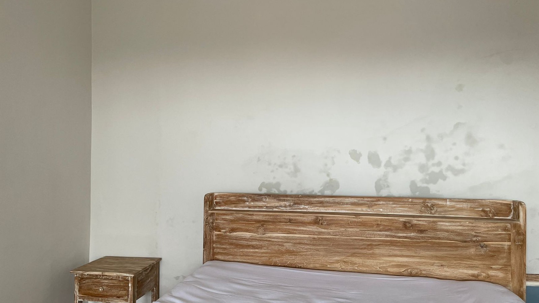 Comfortable house surrounded by rice fields