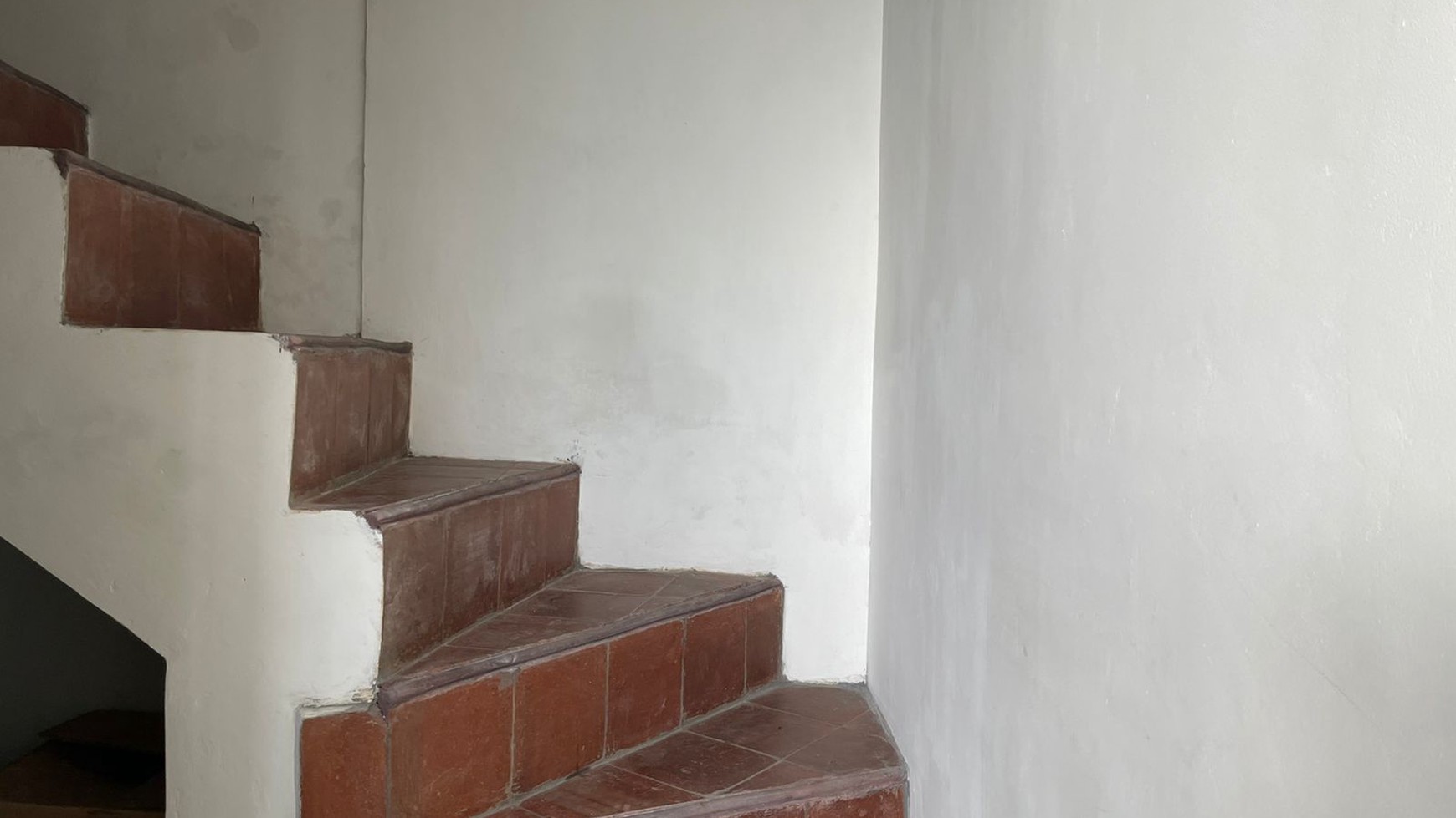 Comfortable house surrounded by rice fields