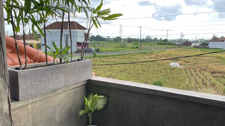 Comfortable house surrounded by rice fields
