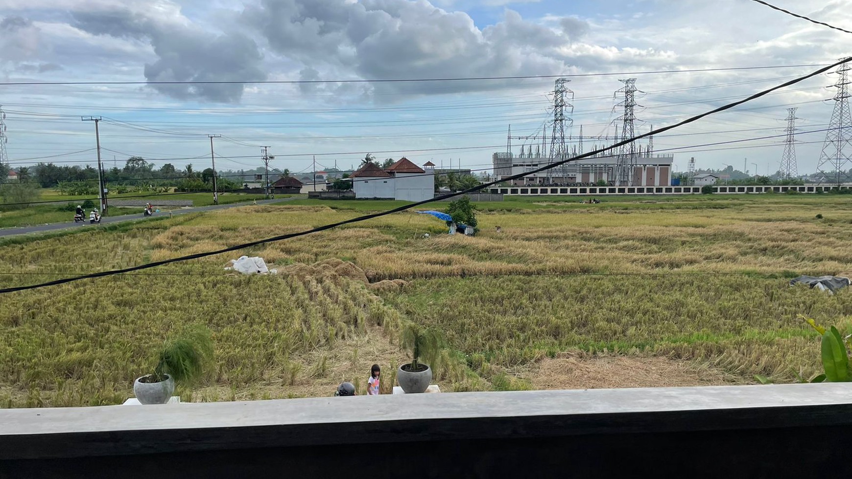Comfortable house surrounded by rice fields