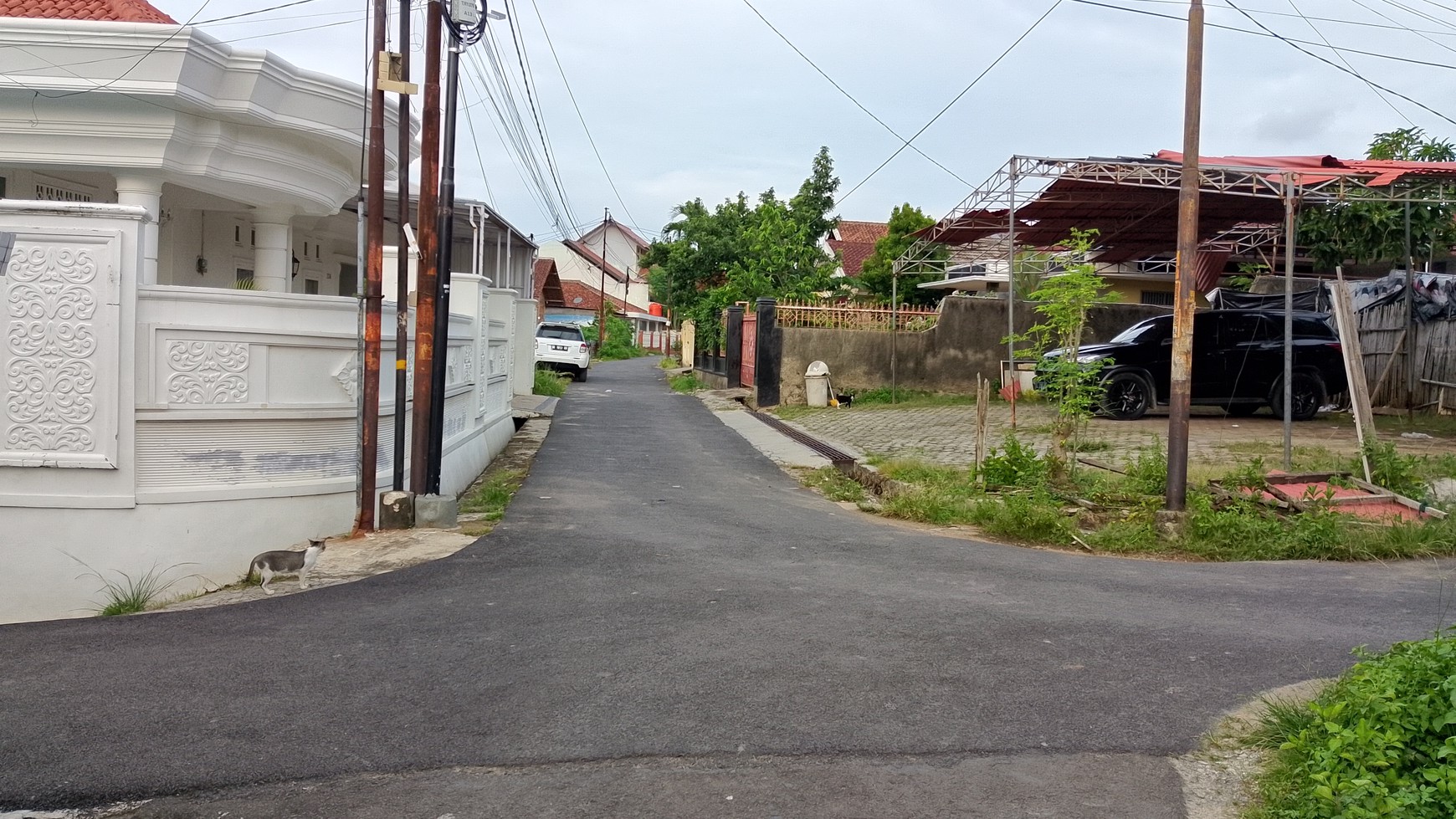 Dijual tanah di Kedamaian