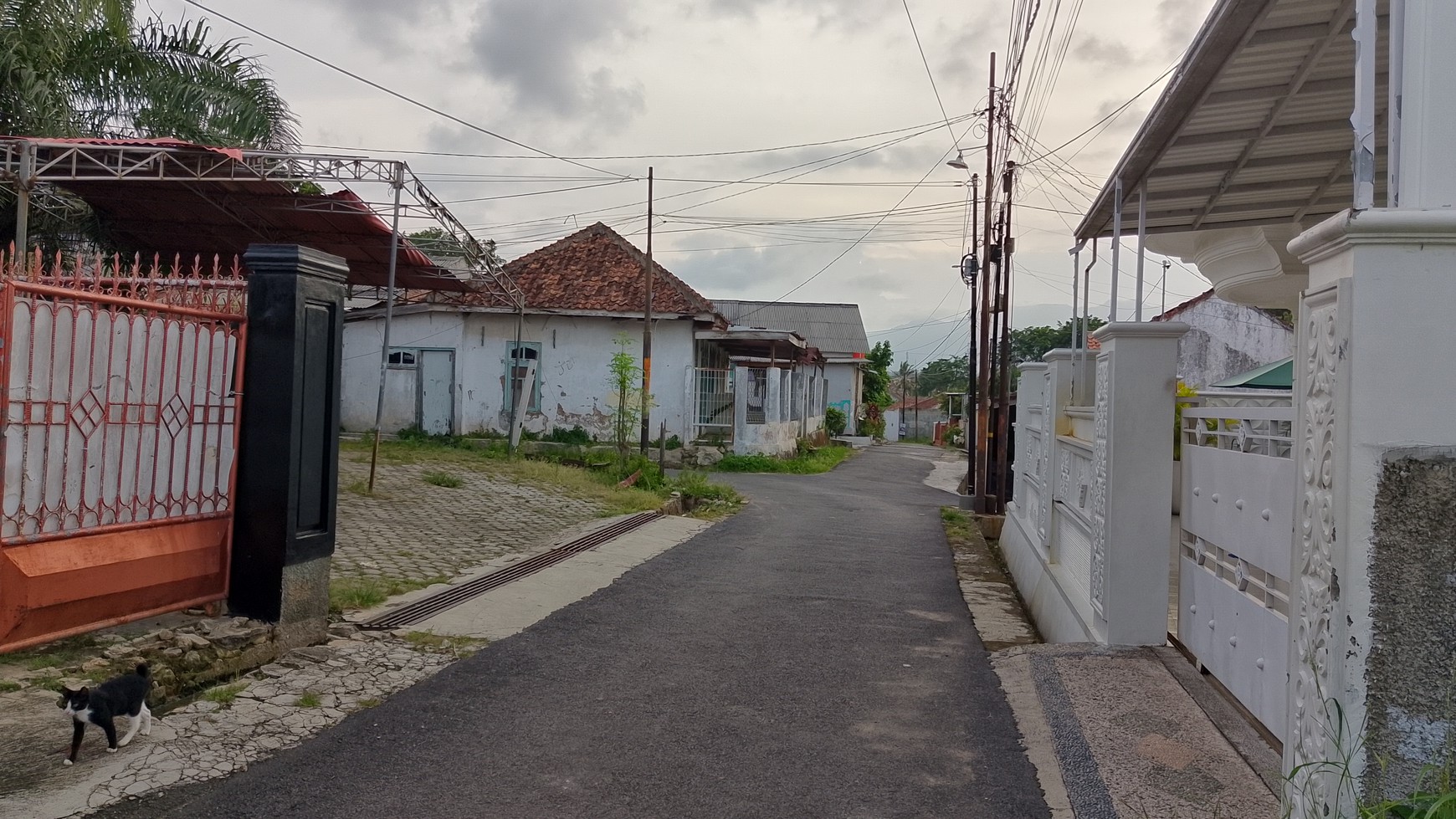 Dijual tanah di Kedamaian