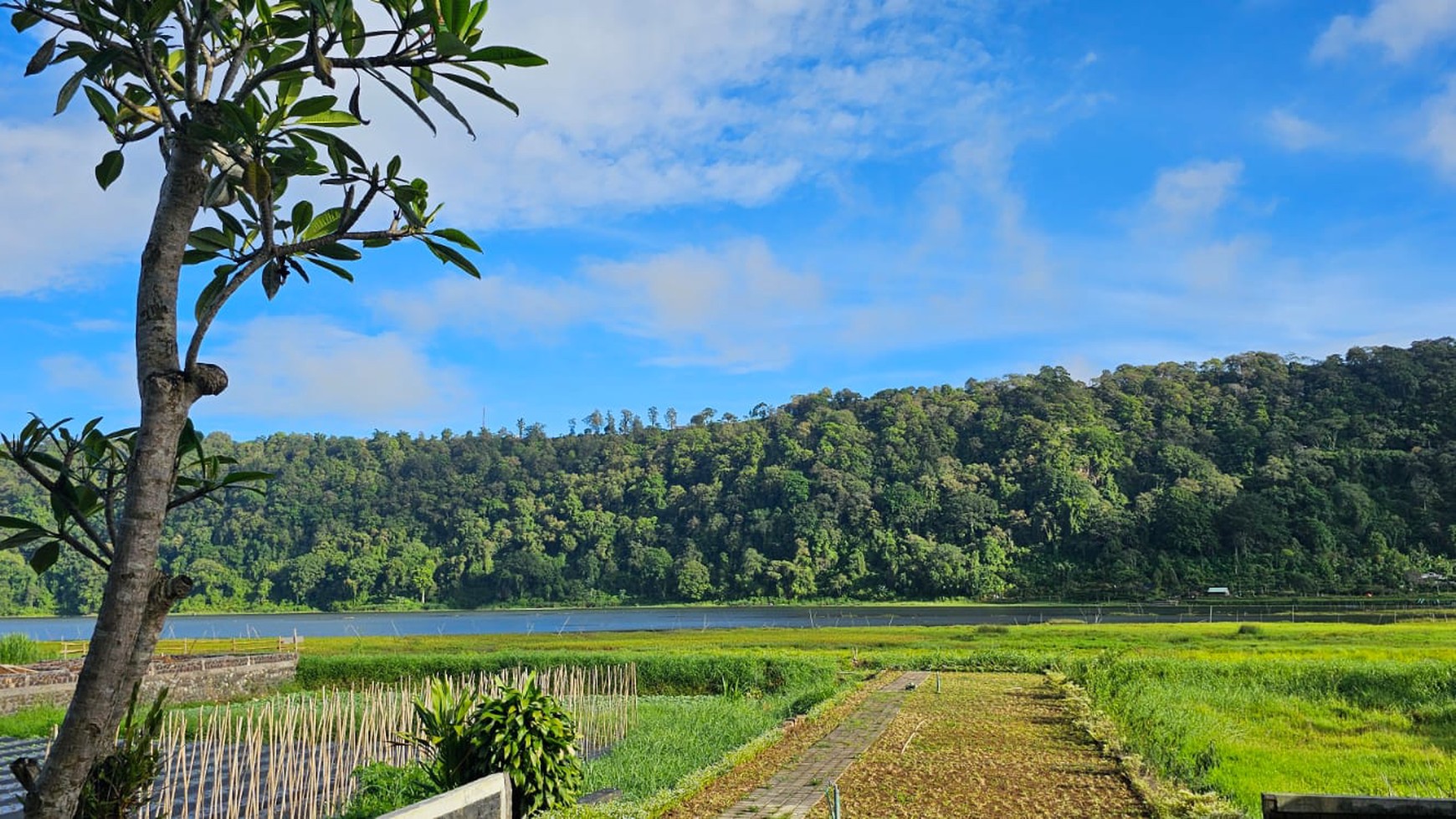 Lakeside Luxury situated next to Bali Handara Golf: Experience Absolute Tranquility at Gatsby on Buyan, Bali