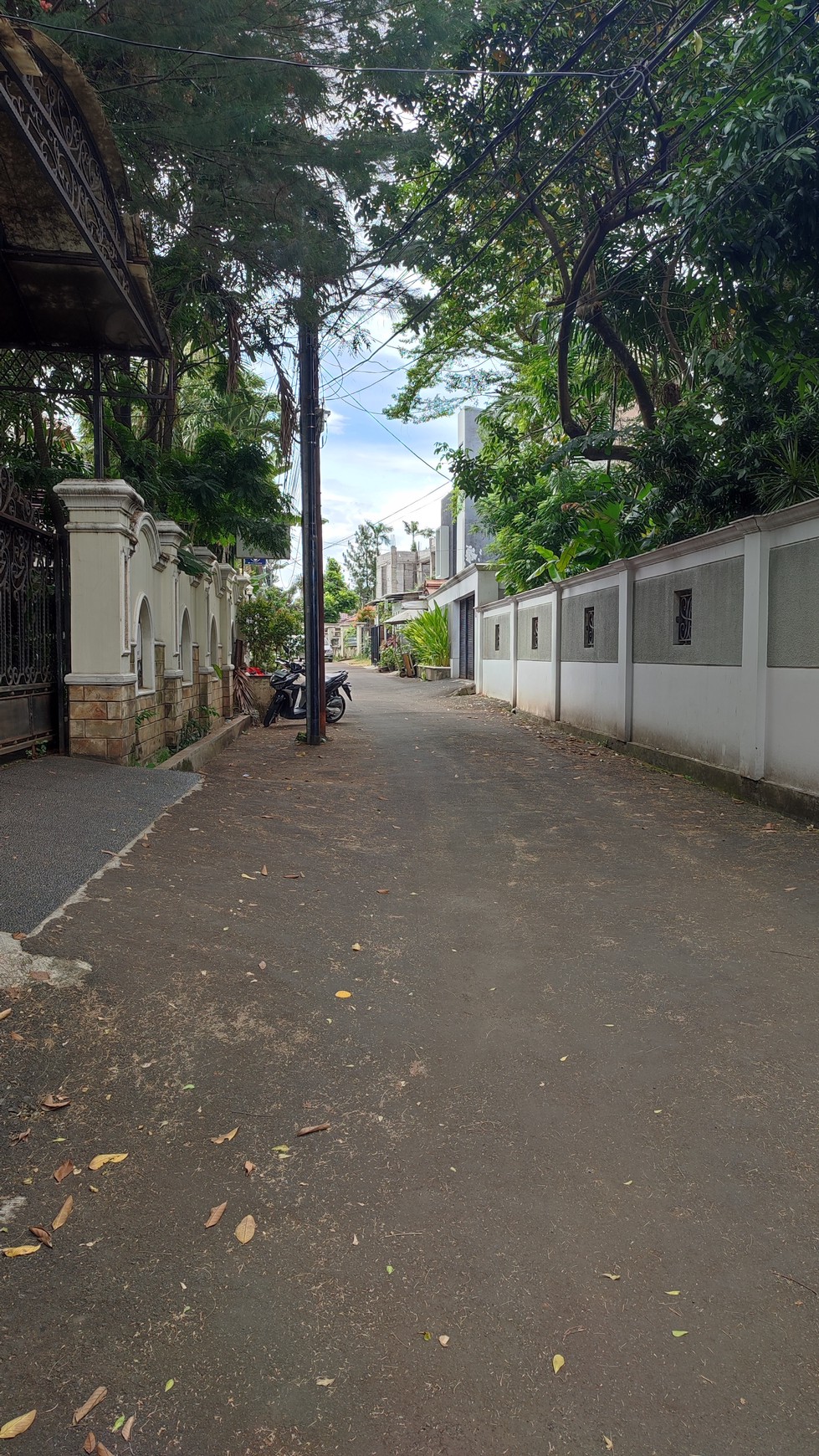 RUMAH LUAS DAN ASRI KEMANG, JAKARTA SELATAN 