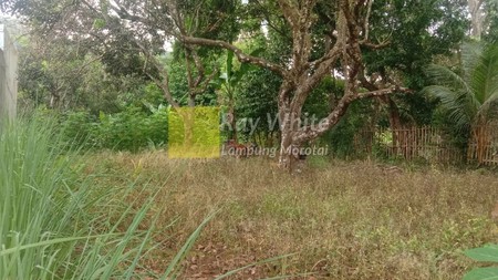 Dijual Tanah Pinggir Jalan KH Agus Salim Sukadaham