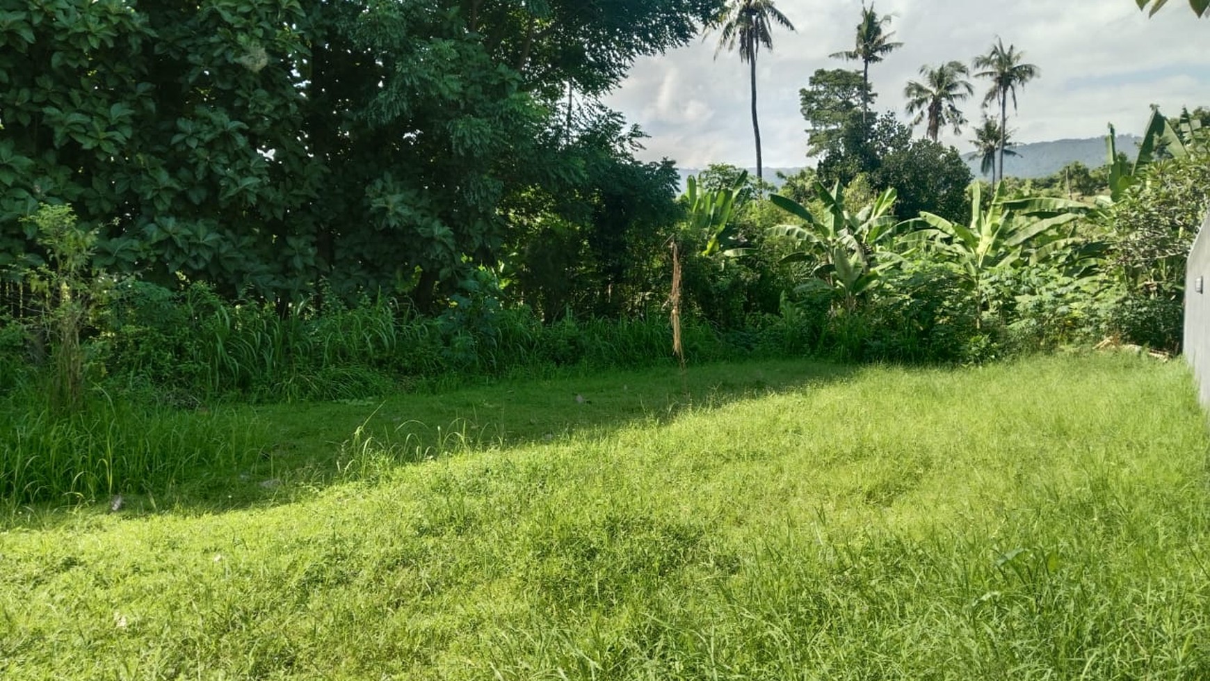 Prime Land For sale in Lovina