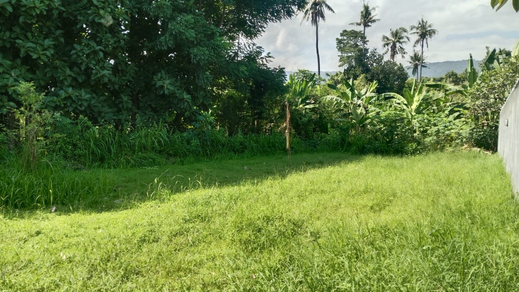 Prime Land For sale in Lovina