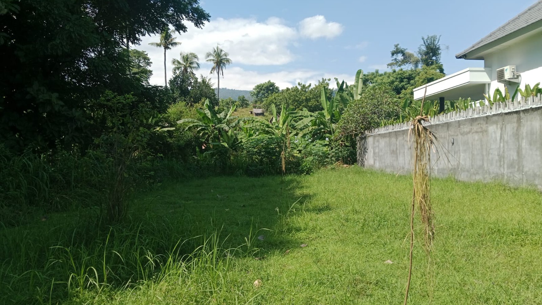 Prime Land For sale in Lovina