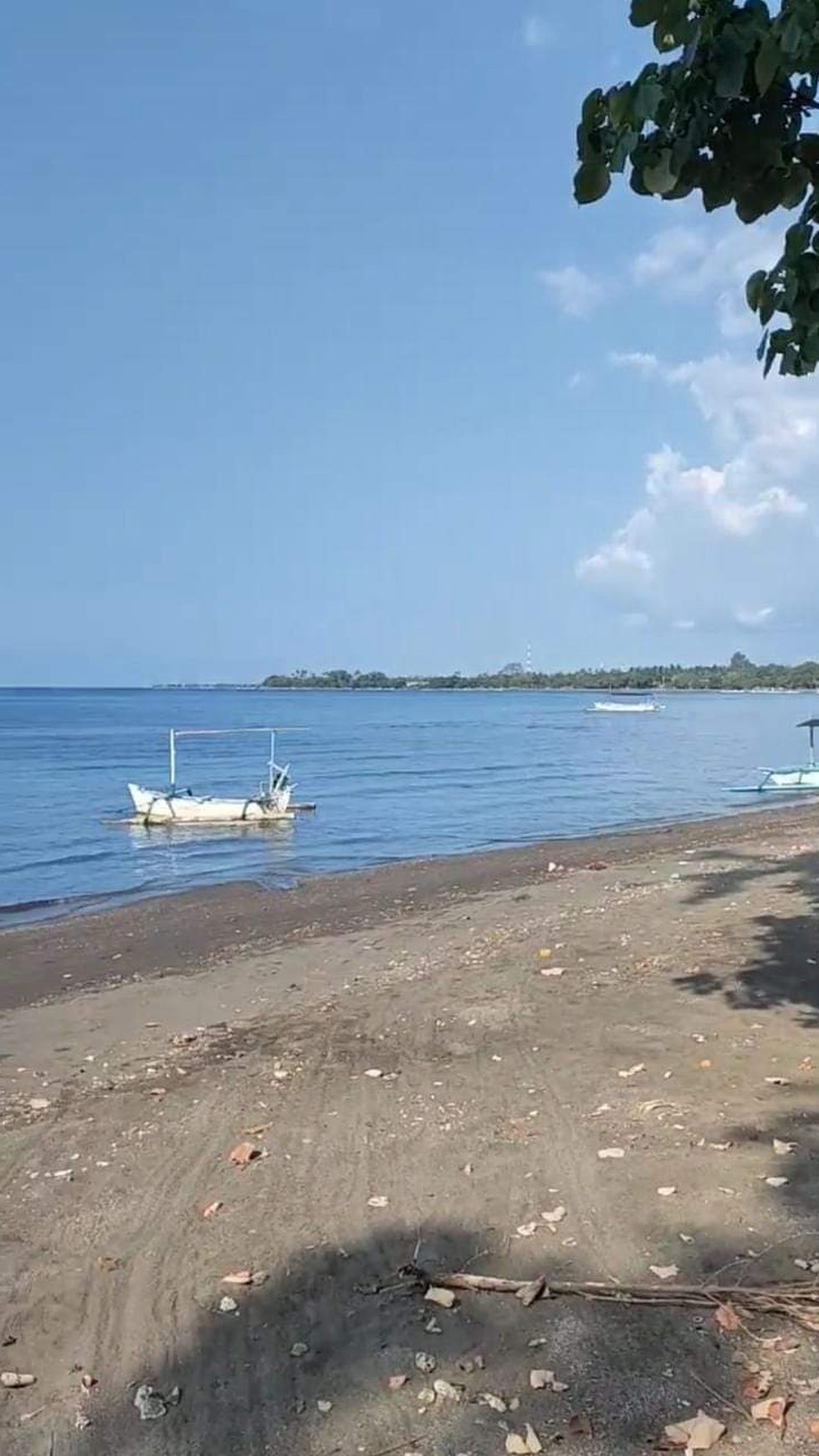 Beach Front Land in Central Lovina For Sale