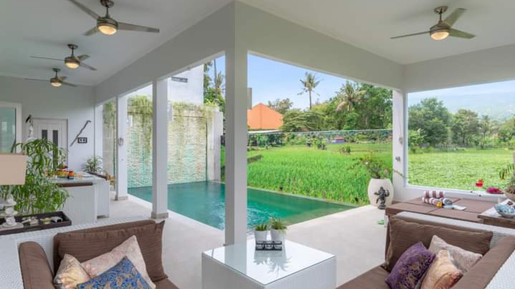 Beautiful Villa with Rice Field View For Sale in Lovina