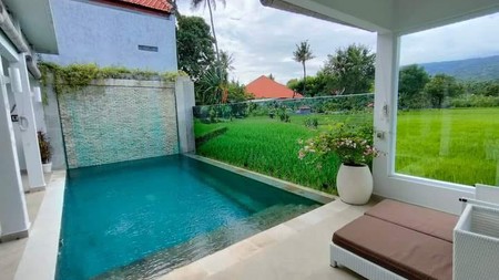 Beautiful Villa with Rice Field View For Sale in Lovina