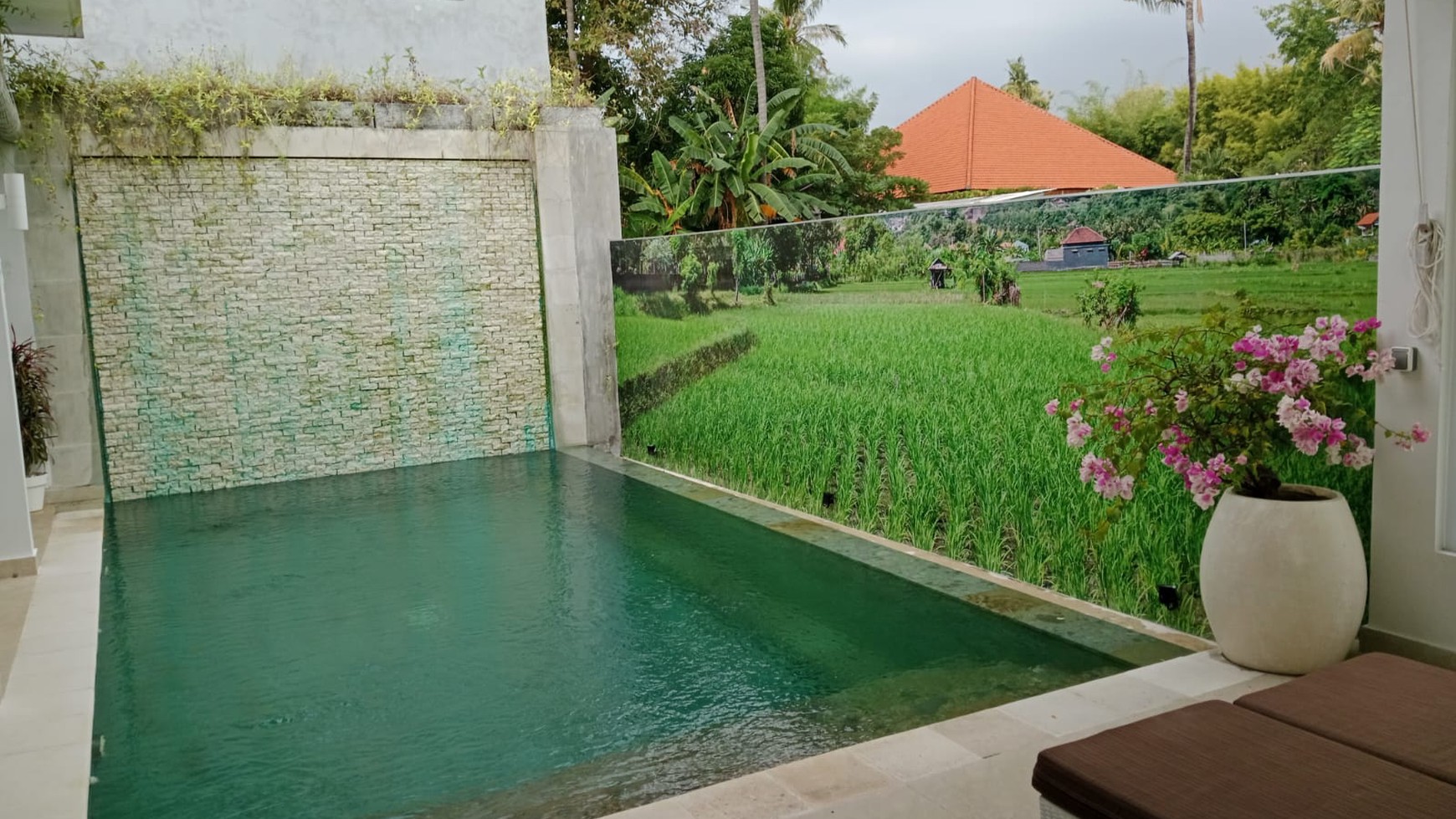 Beautiful Villa with Rice Field View For Sale in Lovina