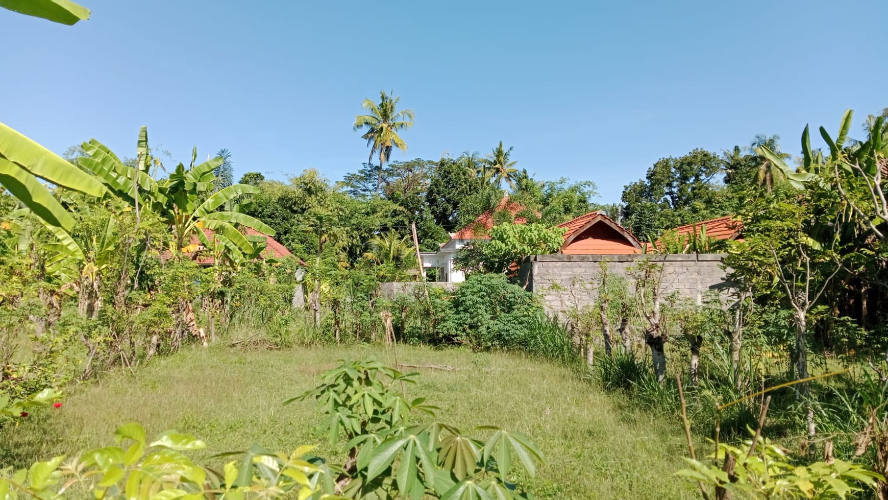 Land For Sale in Central Lovina