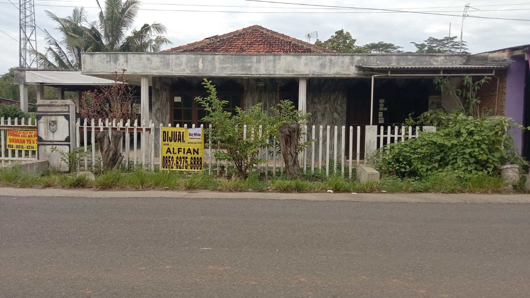 Miliki Rumah dan Tanah Pekarangan luas hampir Seribu