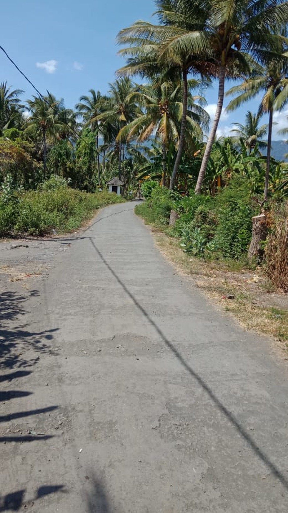 BEACHLAND FOR SALE IN THE NORTH OF BALI