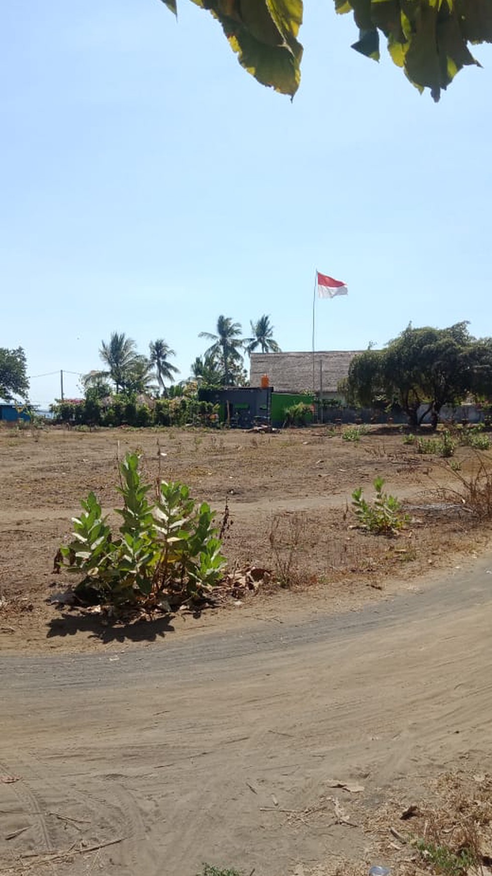 BEACHLAND FOR SALE IN THE NORTH OF BALI