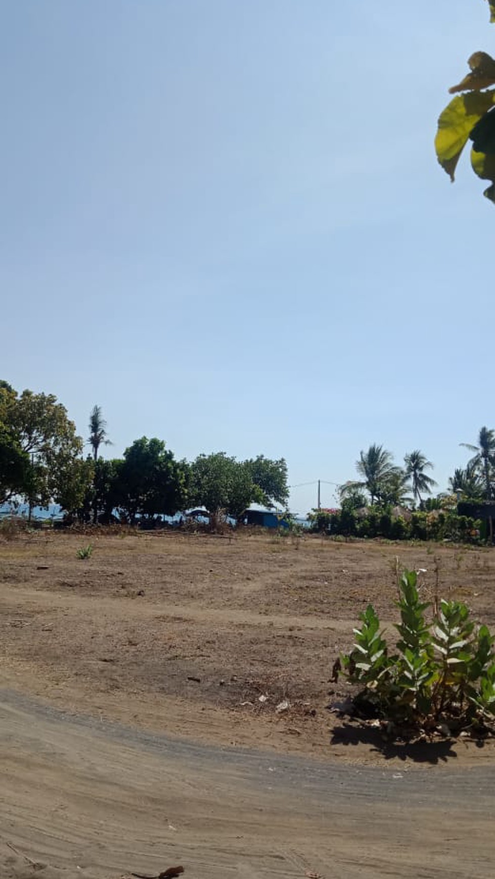 BEACHLAND FOR SALE IN THE NORTH OF BALI